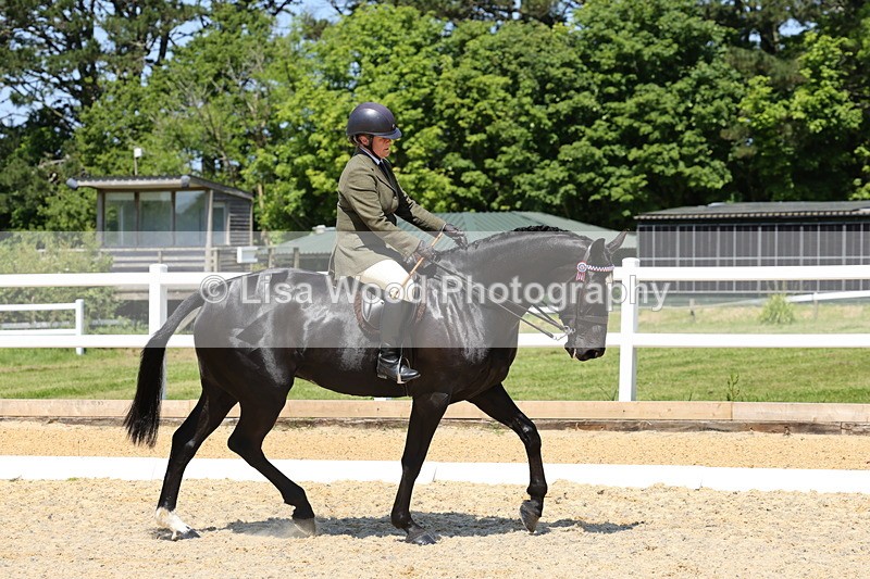 1X9A1825 - Class 12: Ridden Riding Horse/Hack