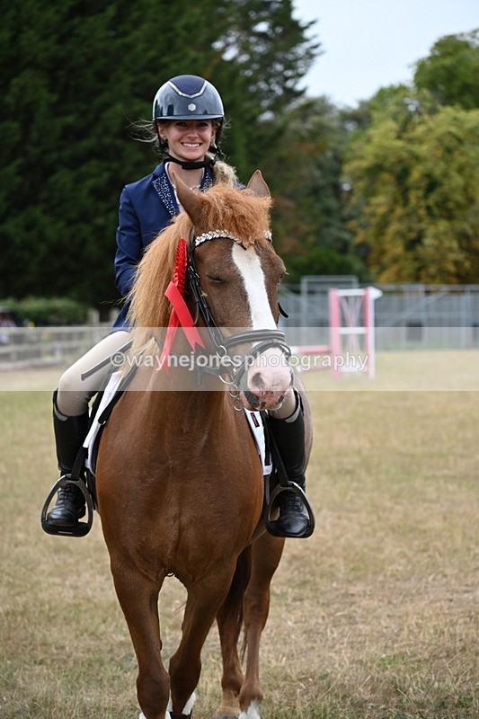 WJ6_0459 - Class 13 Novice Jumping 60cm