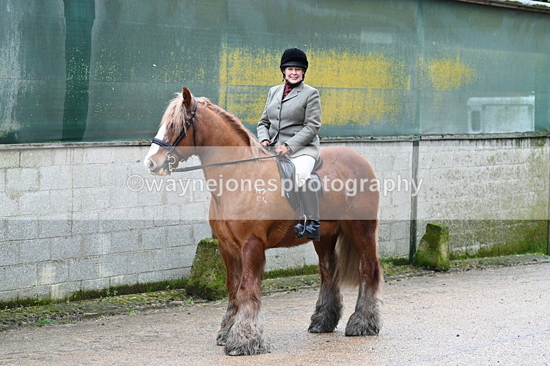 WJ7_8719 - Berks & Bucks - Rowles Farm 15-02-26