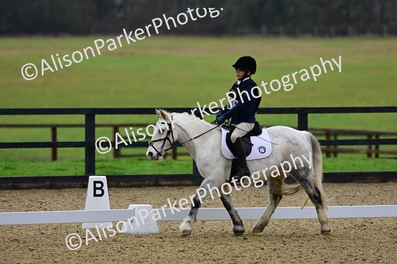 20260125-0527 - Class 9b - Walk Trot Unassisted