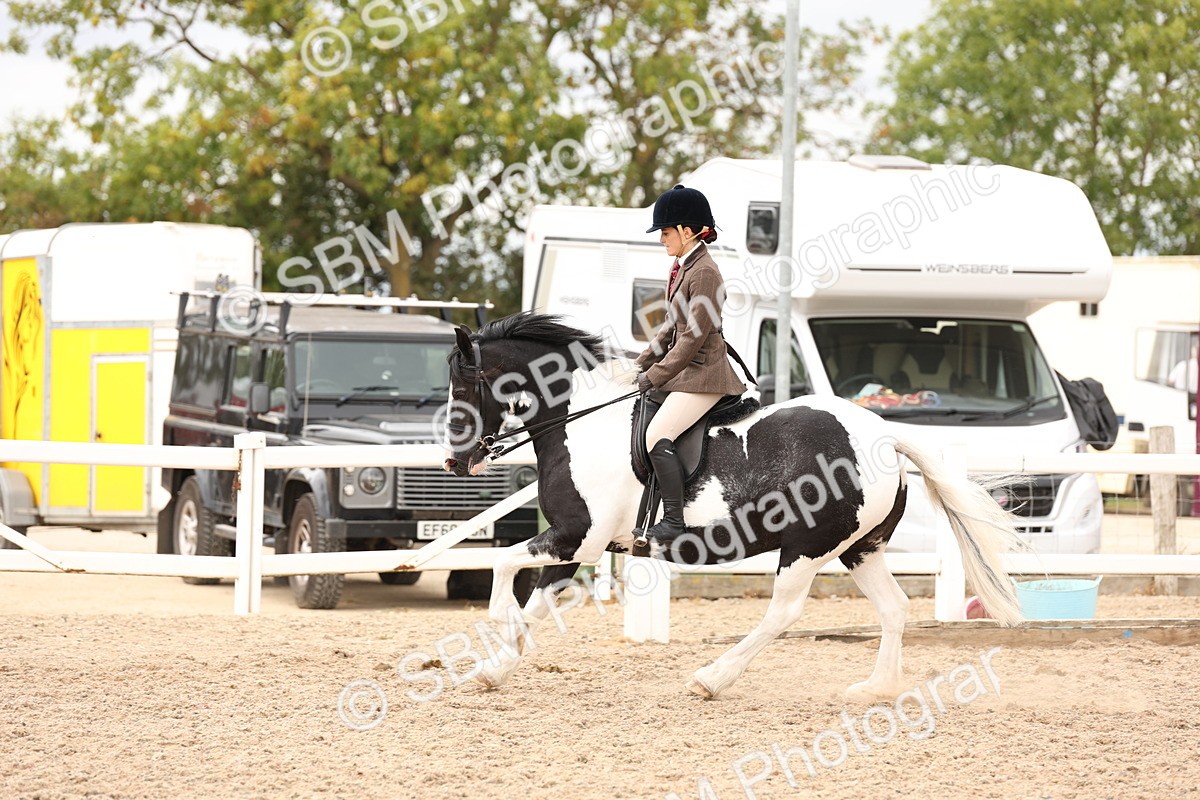 SBM_19683 - Class 216 - Ridden Traditional - Native Cob