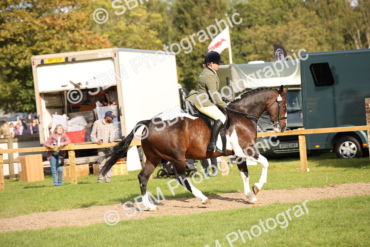 SBM_50175 - S26 - Young Veteran - Ridden