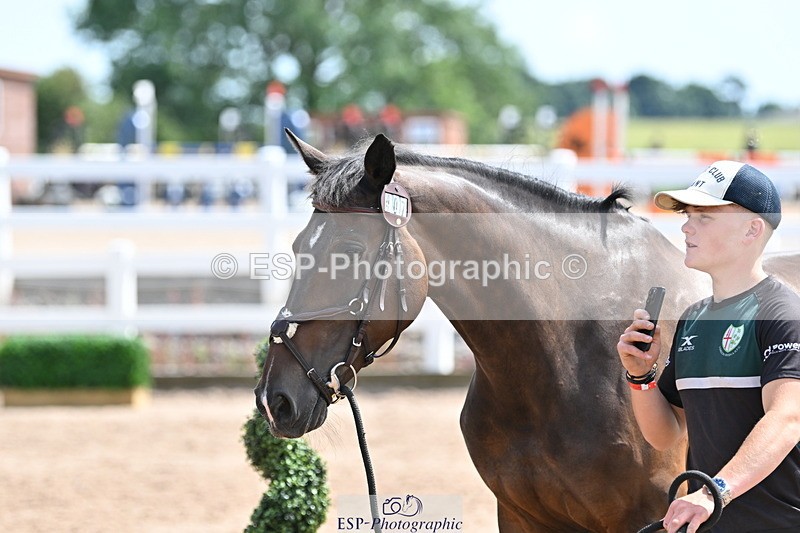 240717A-151144-02639 - Trot Up 3pm to 4pm