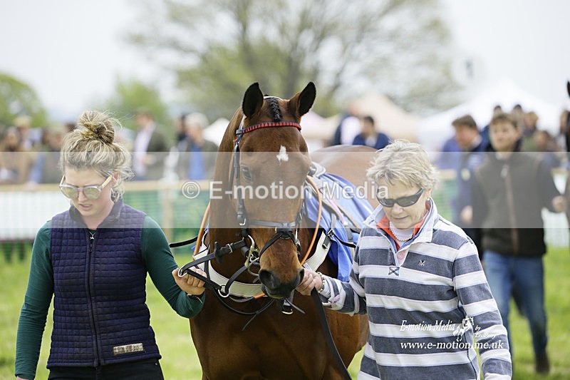 PtP 230422 7 - Berkeley Races - Woodford Glos 23/04/22