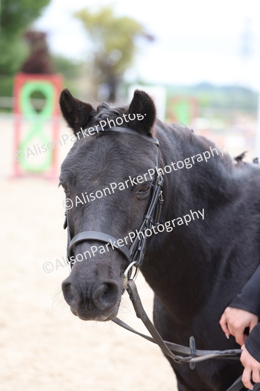 20250524-0763 - Class 7 - Veteran