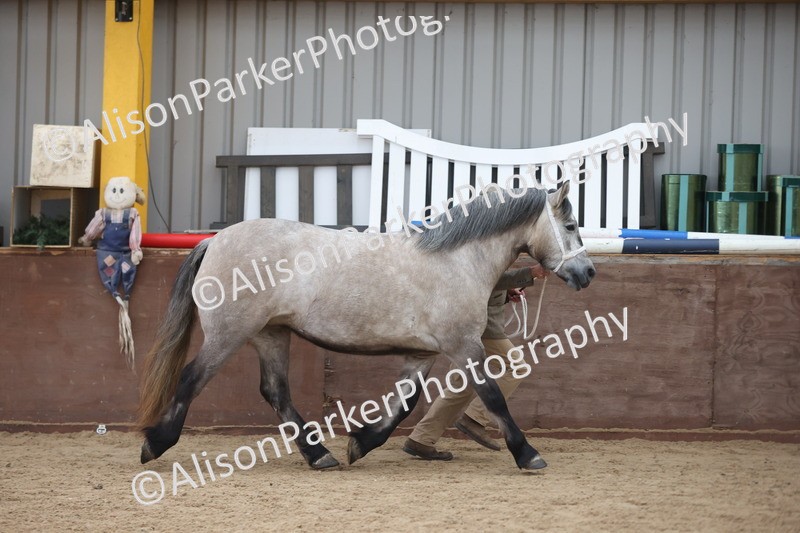 20251109-1214 - Supreme Championship