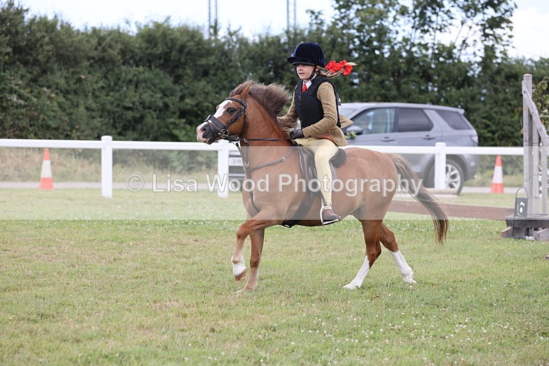 JPP_1753 - Class 18: Tiny Tots Working Hunter Pony