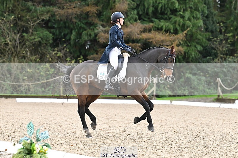 251023A-104627-01542 - B-131-Gemma.Gurvidi