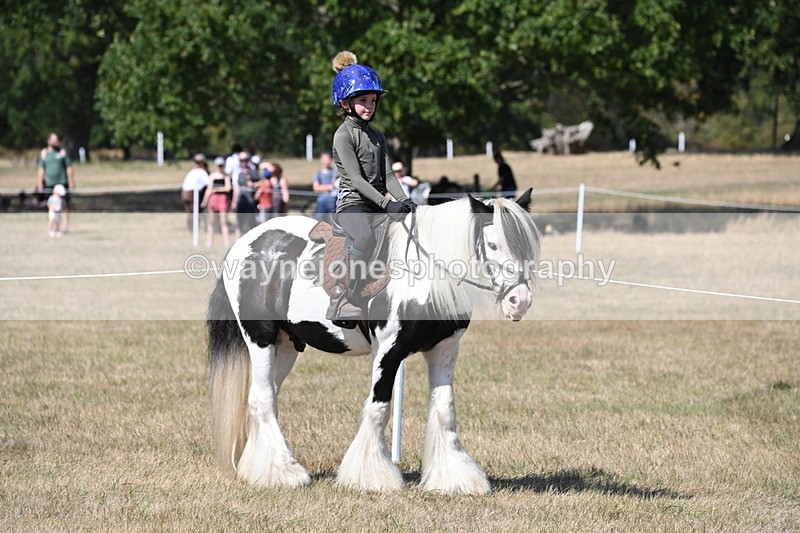 WJ6_9116 - Championship Classes 33-38