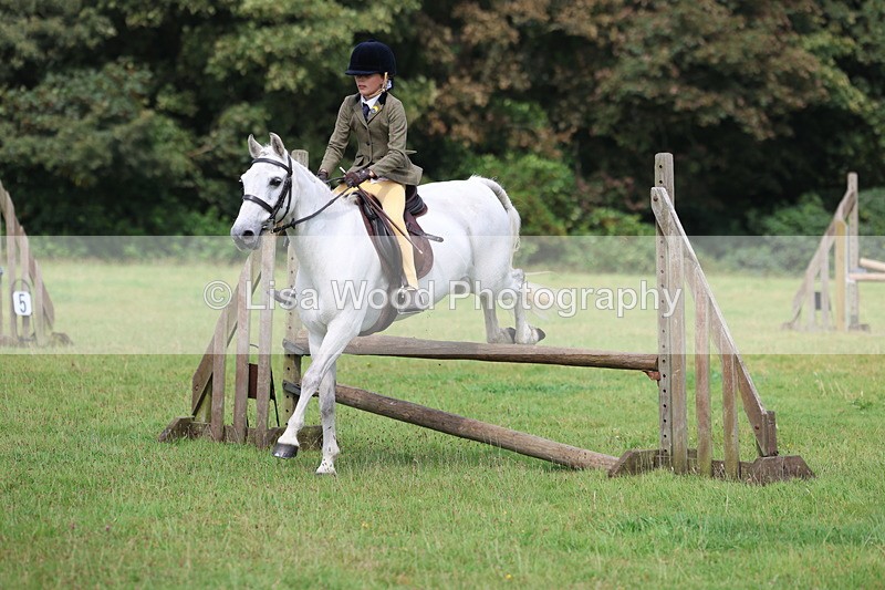 3E7A5798 - Class 26 and 27: 70cm Working Hunter