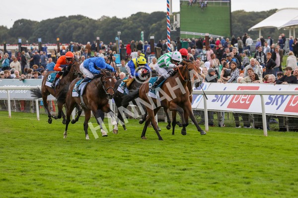 220824-Race 6-Angel Hunter-7861 - Race 6 4.45pm sensory-junction.co.uk Autism Awareness EBF Stallions Nursery Handicap