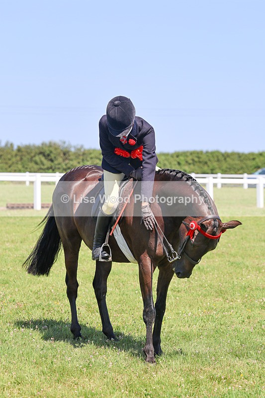 IMG_2141 - Plaited Ridden Championship