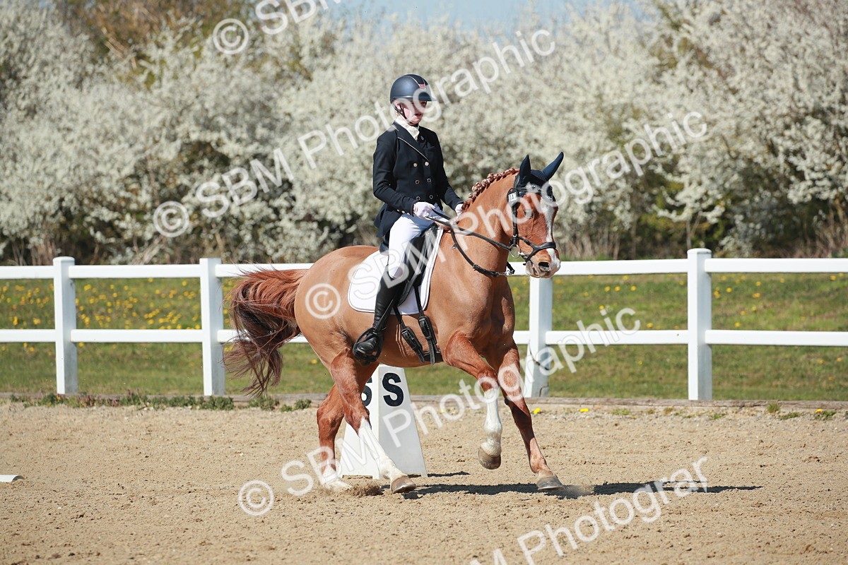 SJ3_1319 - Class 8 - E5