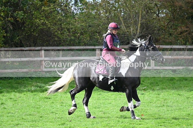 WJ7_8719 - Time 12:12 to 12:37