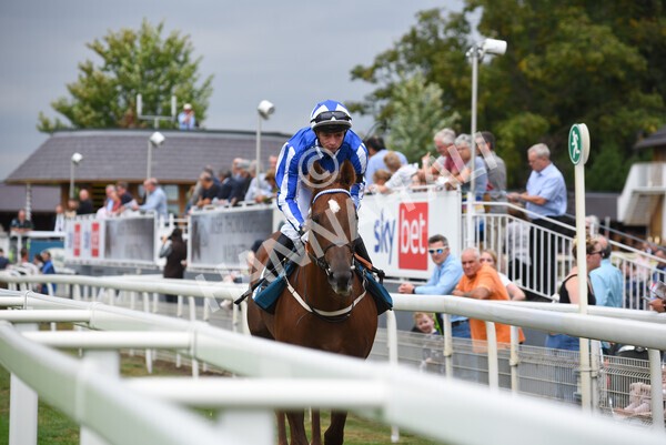 yr04092022r1-18 - Race 1 1.45pm IRE Incentive, It Pays To Buy Irish EBF Novice Stakes