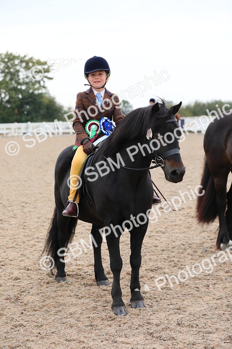 SBM_18243 - Class 316 Best Pony/Rider Combination