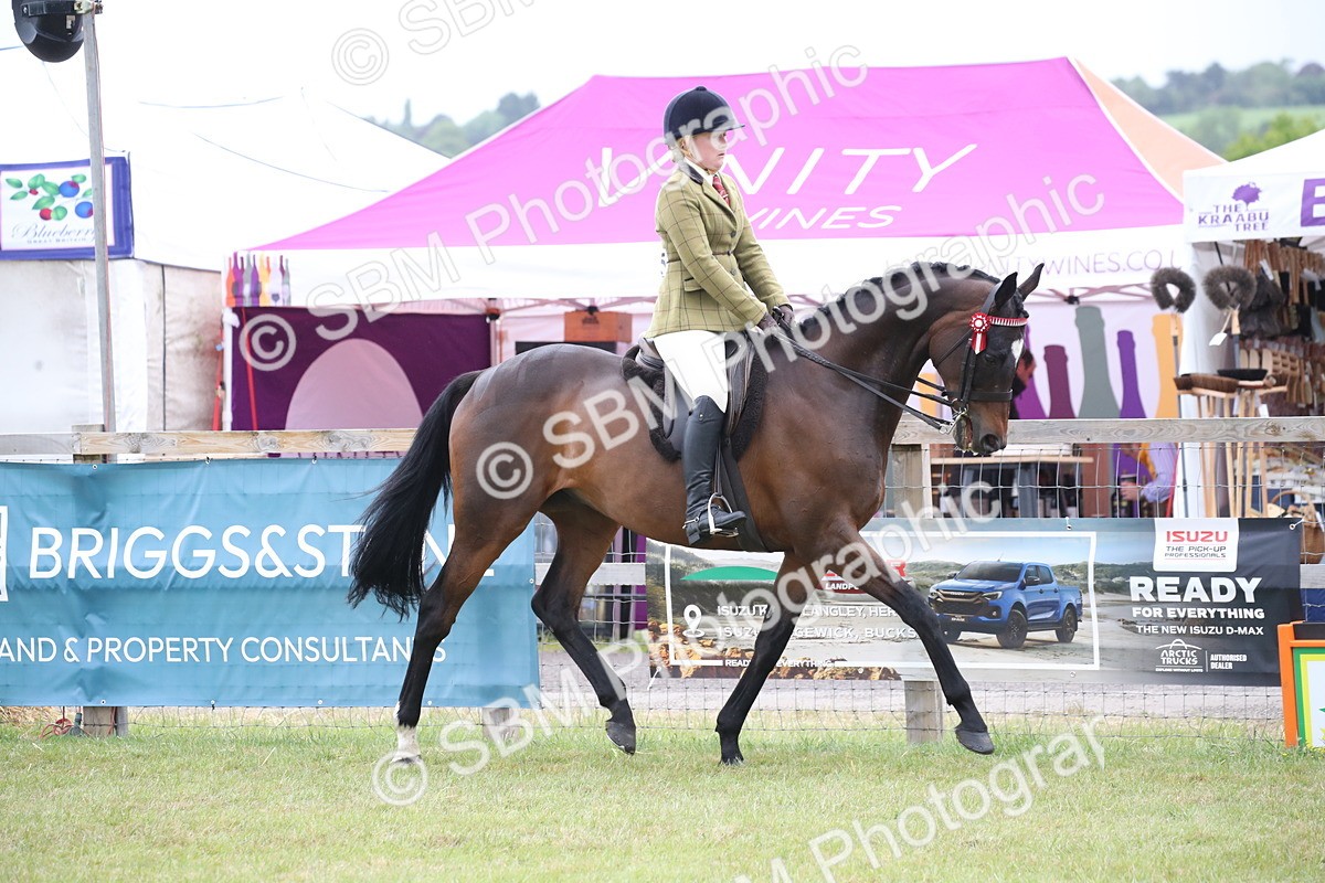 SBM_11393 - Class 94 - LIHS BSHA Racehorse to Showhorse