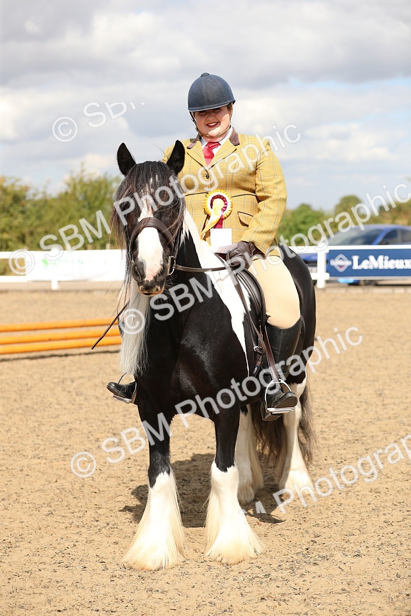 SBM_04277 - Class 46a Style & Performance 50cm (15-19)