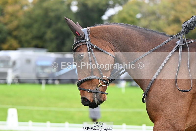 251023A-114759-03688 - G-516-Zara.Bucknell