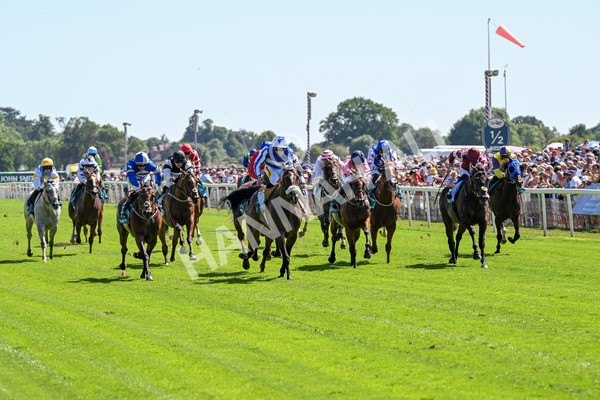 120725-Race 3-Fox Legacy-0213 - Race 3 3.10pm John Smith's Cup Handicap