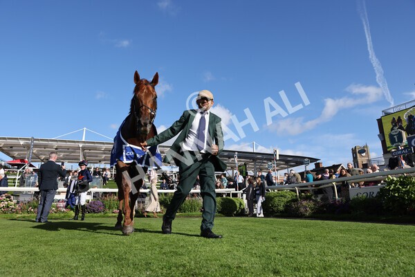 yr08102022r3-71 - Race 3 2.40pm The Coral 'Beaten-by-a-Length' Free Bet Handicap