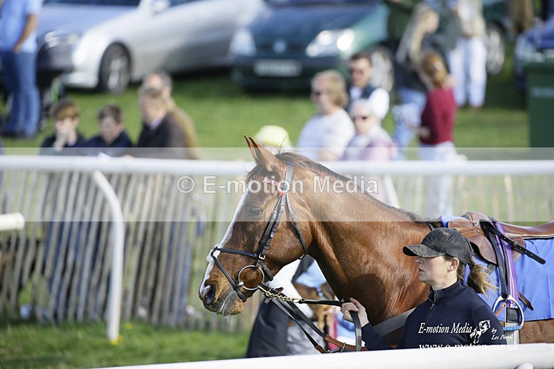 PtP 180422 302 - Old Berkshire PtP Lockinge 18/04/22