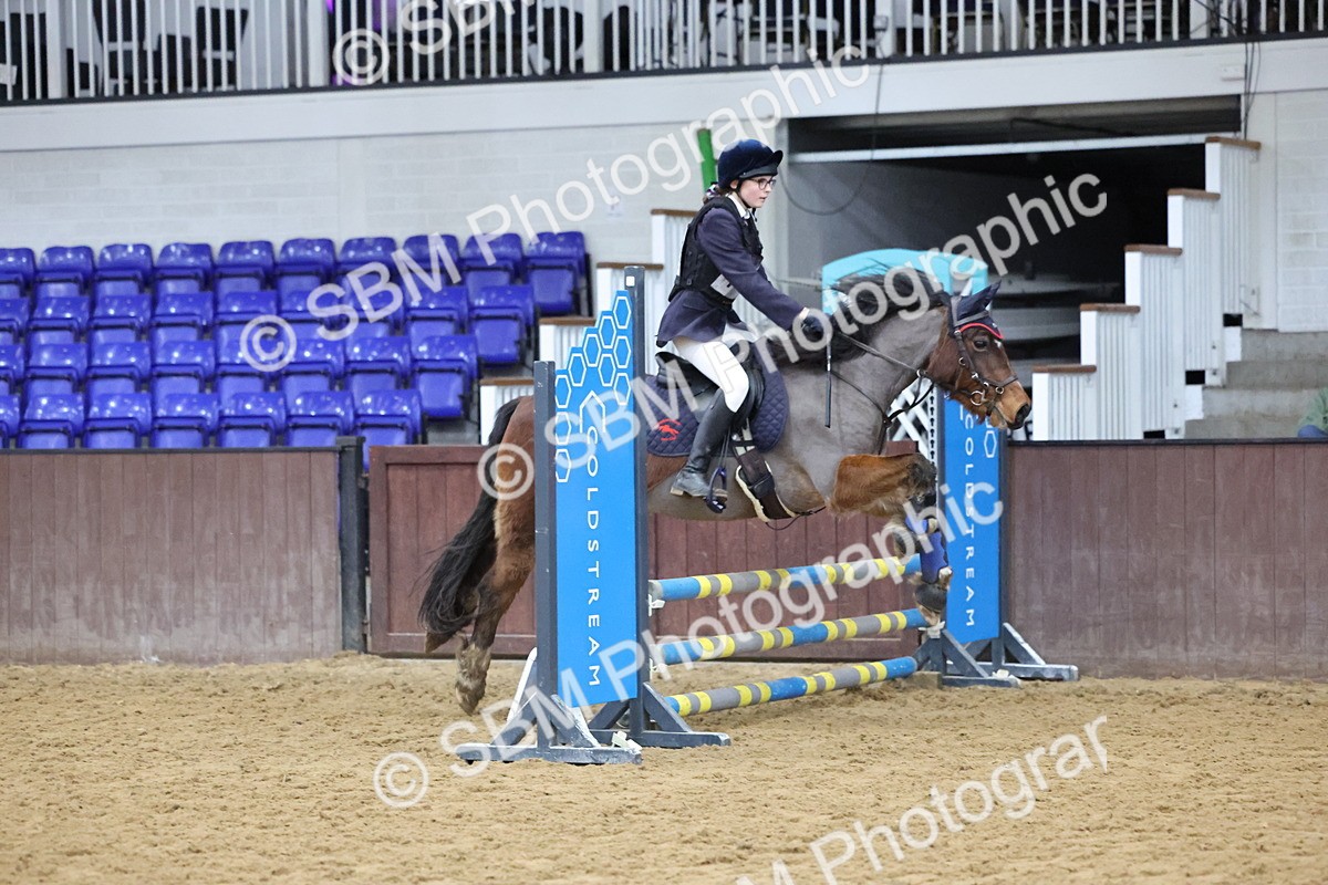 SBM_000986 - Class 3 - Christmas Tree Stakes - 60cm