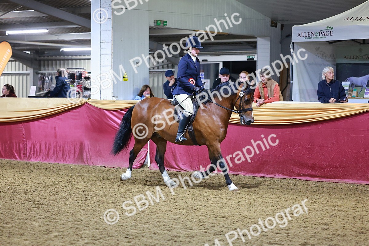 SBM_15254 - Class P - M&M Champ
