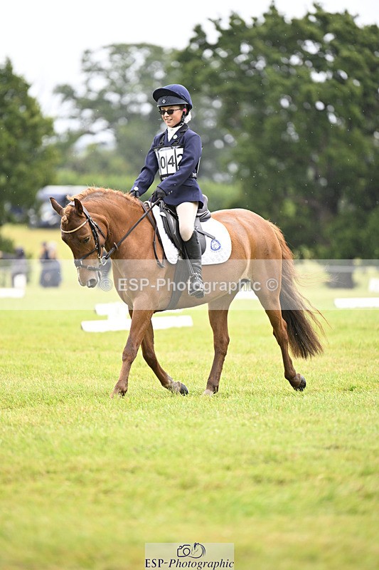 240824X-102645-21673_D70 Section A and B 930 to 1040 - 077-487-7039