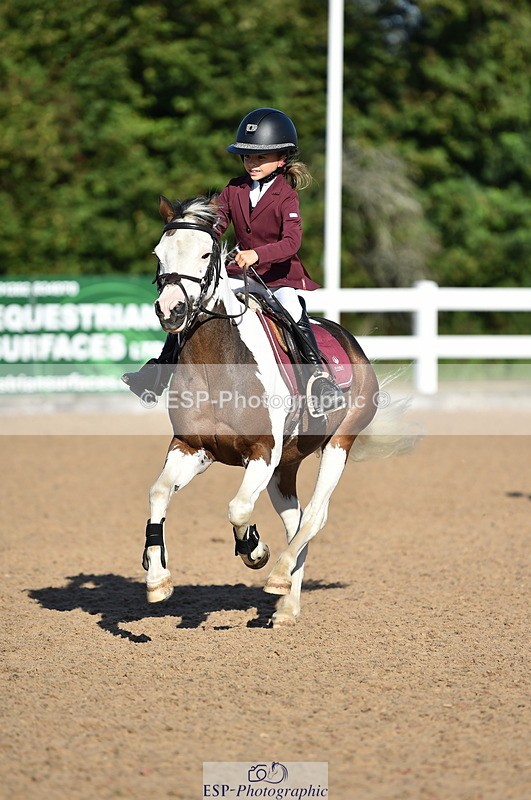 230903A-092732-03518 - Cls 17 Pony Intro 75cm