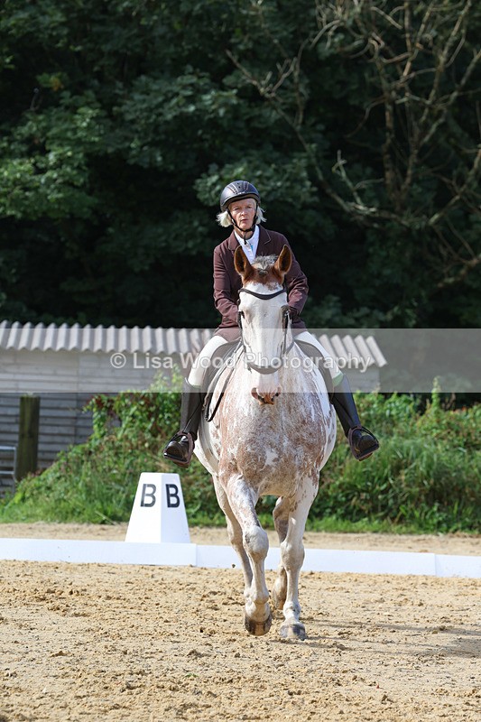 3E7A2389 - Class 1: Intro 4 2024 section A