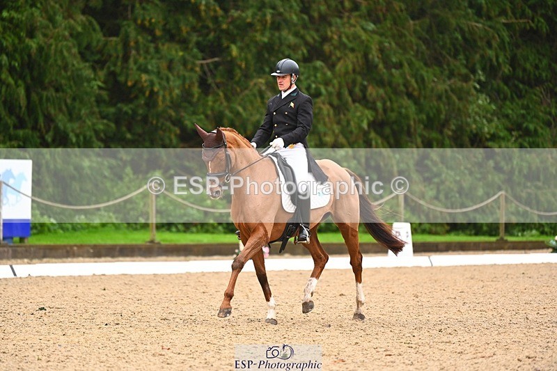 231021-104023-14499 - 231-ROUGE.ANGEL-Fred.Scala-DR