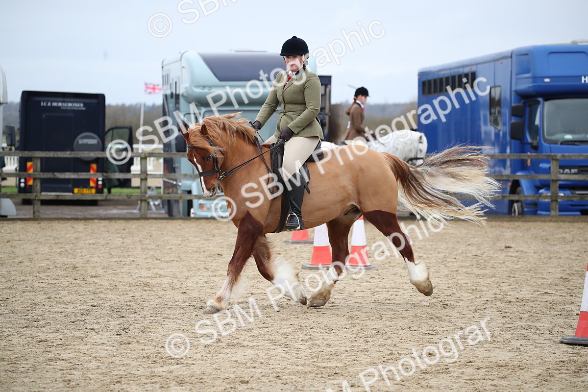 SBM_006136 - Class 10-13 - RIHS Small Large Breeds