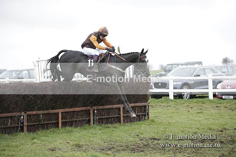 PtP 150320 0518 - New Forest Point-to-Point Larkhill 15/03/20