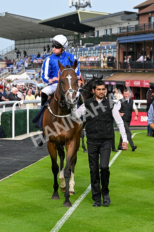 160626-Race 1-Waasil-3229 - Race 1 18.30pm Napoleons Casino Hull Dine In Style From £35 EBF Novice Stakes