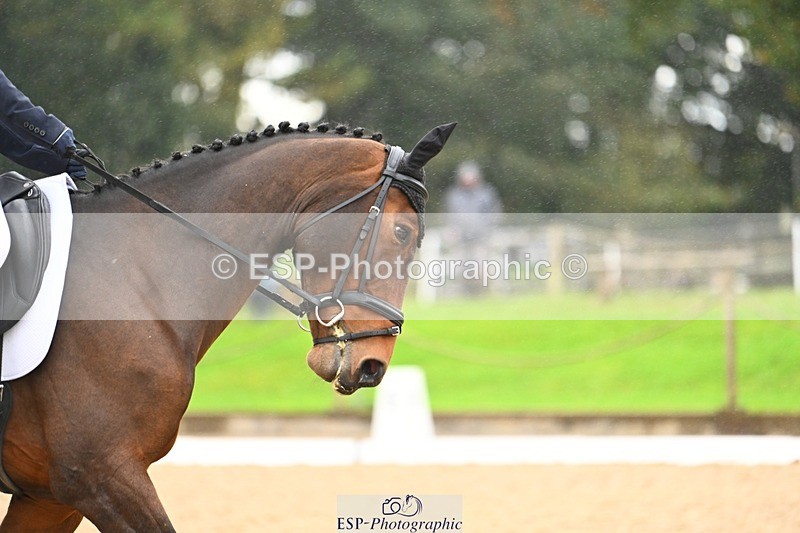 231021-121744-15105 - 347-SHANBEG.PANDORA-Alice.Gates-DR