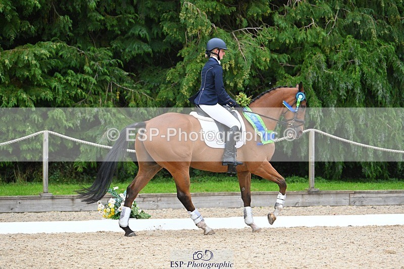 230813-163029-08343 - Medium Bronze Presentations