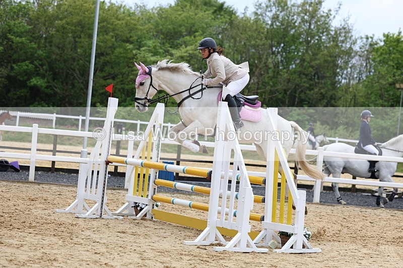 3E7A6291 - Class 4: Senior British Novice/90cm open