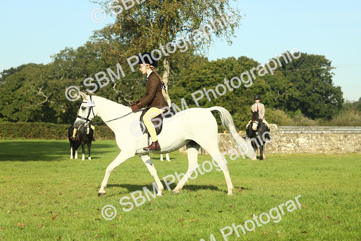 SBM_59205 - S38 - Starters Ridden Showing