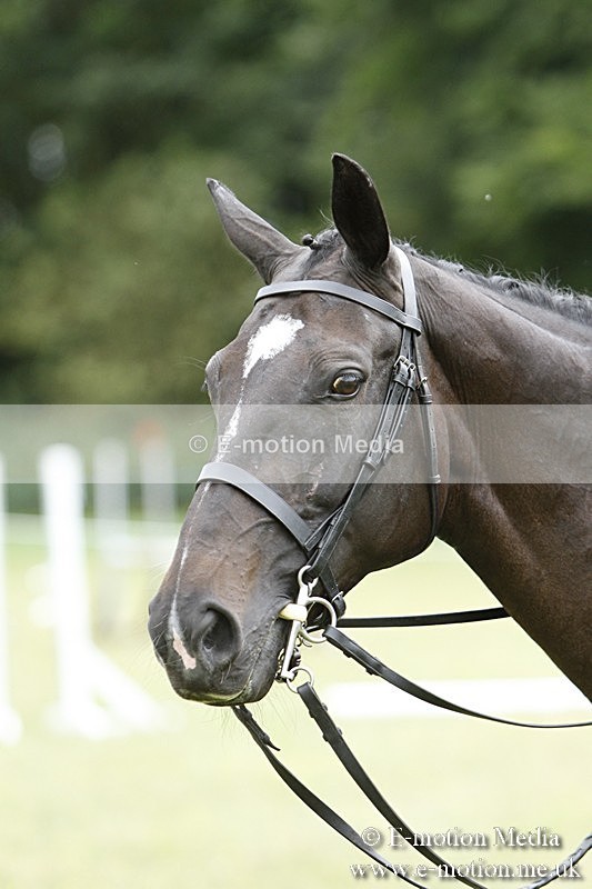 BVR160717-2250 - Ring 3 BVRC Show 16/07/17