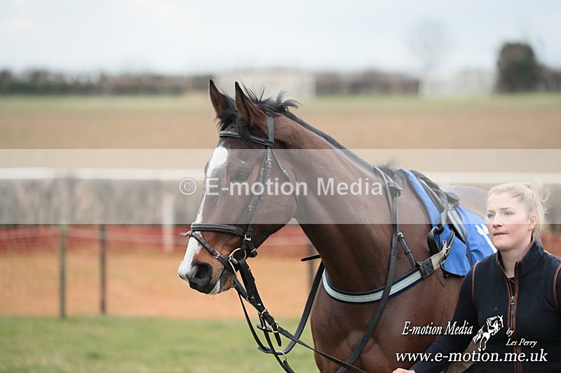 PtP 220325 309 - Cirencester Races -  Siddington 22/03/25