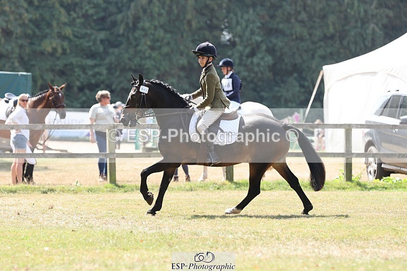 250823A-123349-29828 - Arena C