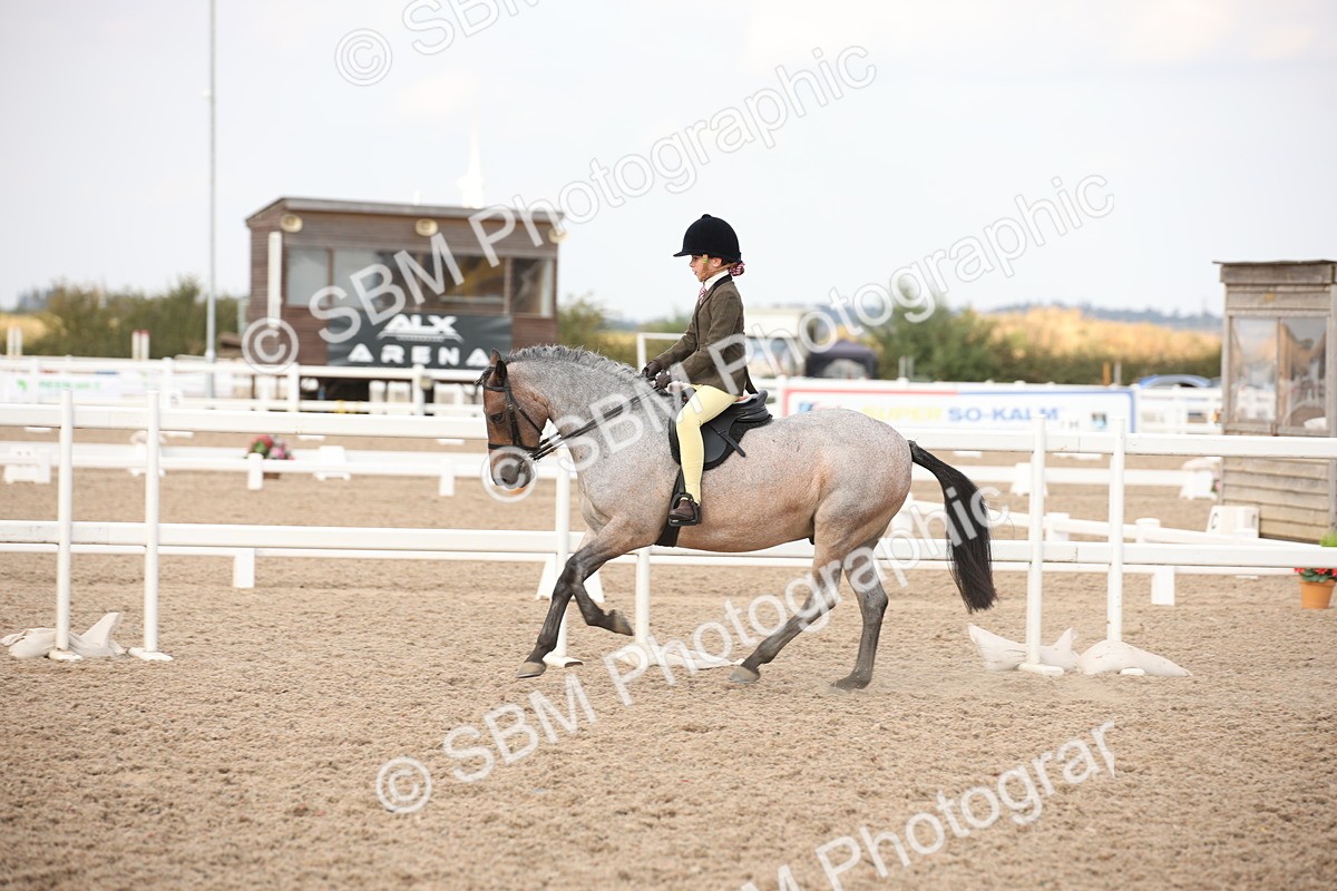 SBM_08793 - Class 12R Regional Ridden Pre-Vet