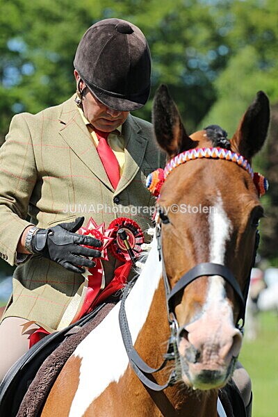 SIAL4698 - Ring 3 and 4
