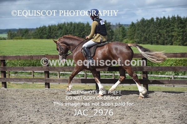 JAC_2976 - CLASS 6 BSPS Scone Palace HT Training Stakes Series