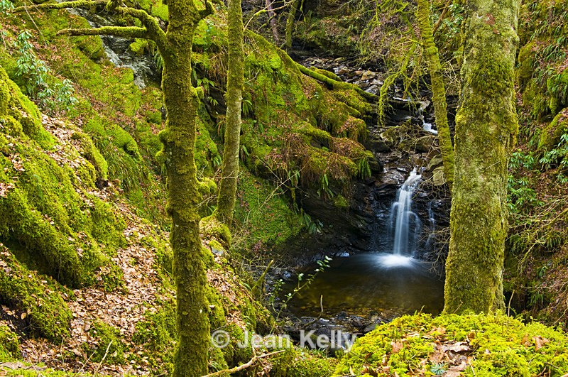 Ormidale Estate, Argyll - 3994 - Water