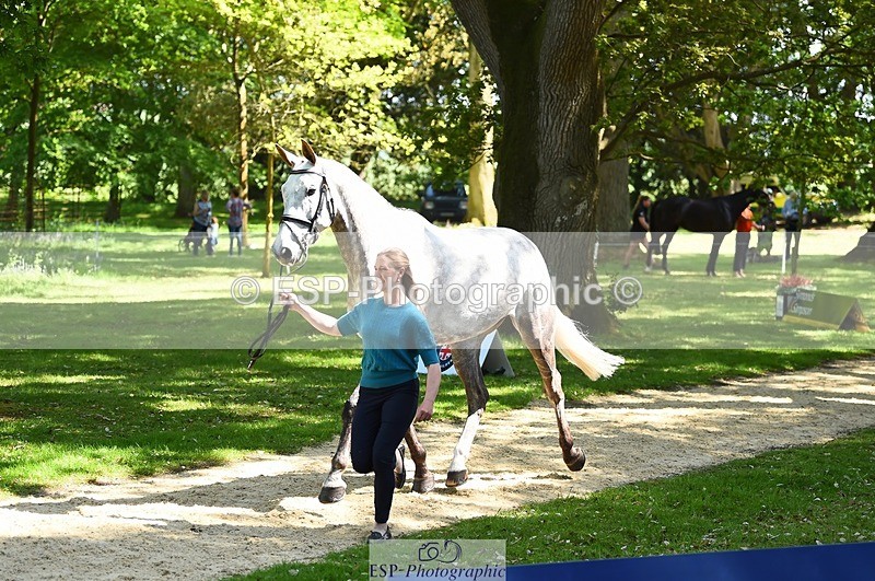 230524-151628-00174 - 316-D'ARTAGNAN-Tiana_Coudray-WEDTrotUp+DR