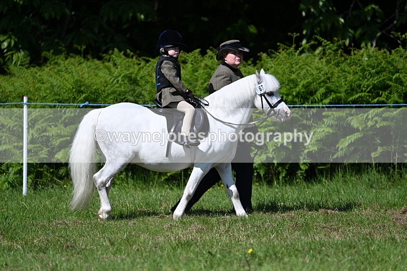 WJ7_0752 - Class 8 First Rally Pony
