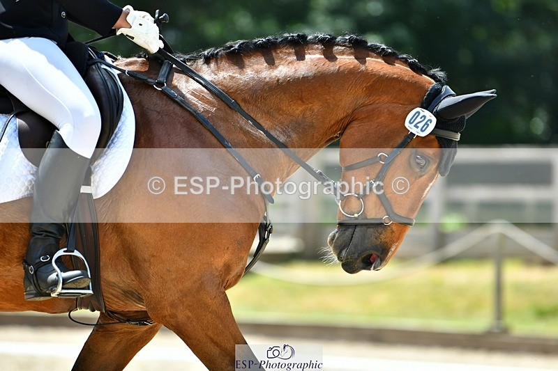 230623-132333-02369 - Cls 4 Novice 37Q 12.45 to End