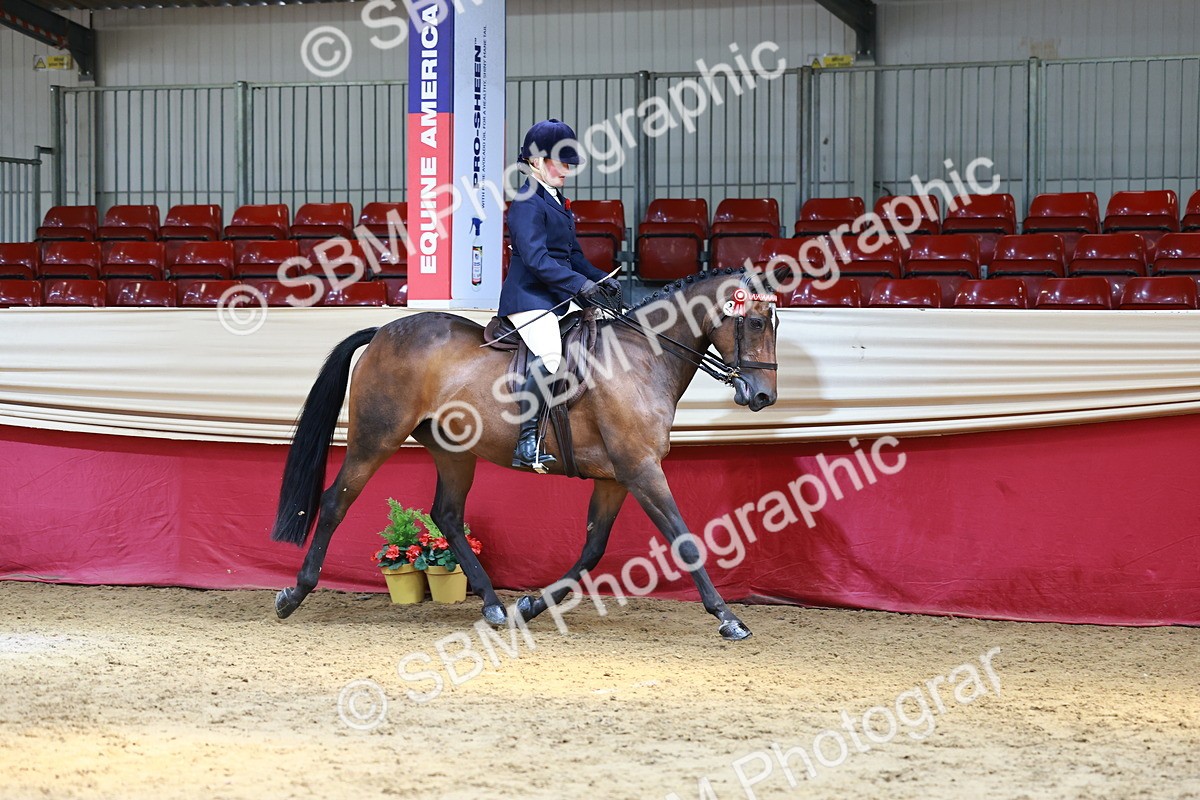 SBM_23869 - Class 905 - Supreme Final - Ridden Veteran